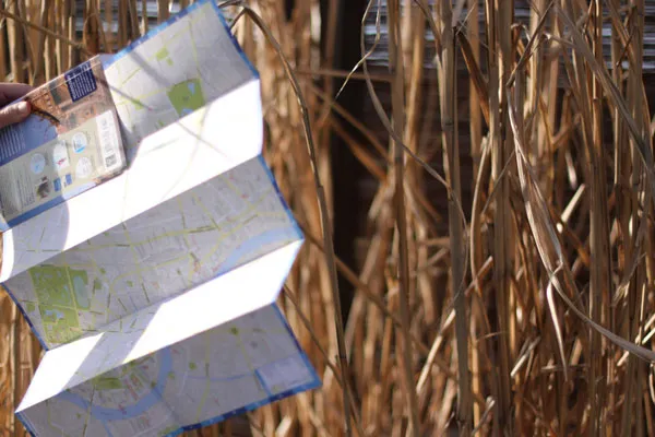 Tajlandia | Do przewodnika Lonely Planet: Thailand dołączona jest kolorowa mapa Tajlandia | Do przewodnika Lonely Planet: Thailand dołączona jest kolorowa mapa