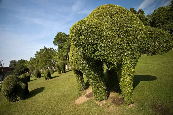 Tajlandia | Tajlandia pragnie odzyskać opinię turystycznego raju