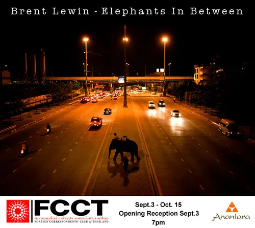 Tajlandia | Plakat wystawy “Elephants in Between”