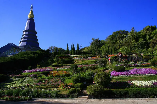 Tajlandia | Królowa jest wielką miłośniczką orchidei - Ogród Królowej Sirikit w Chiang Mai