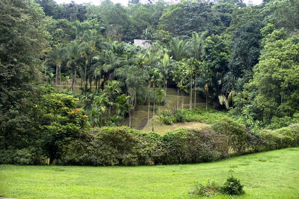 Chiang Mai - Ogród Botaniczny Królowej Sirikit