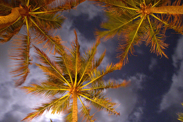 Wyspa Koh Kood na liście dziennika „New York Times”