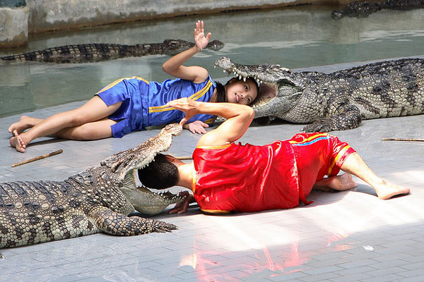 Szalone rzeczy, które możesz zrobić w Tajlandii