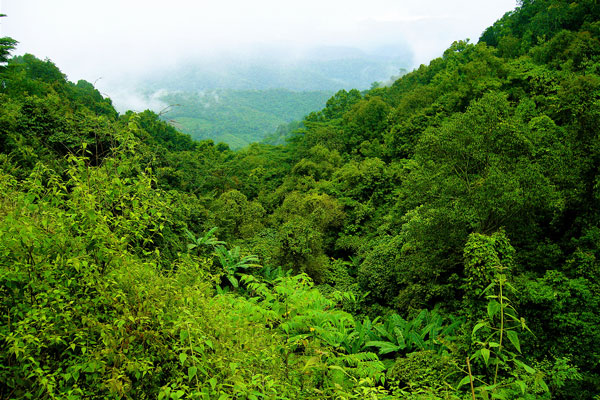 Warunki naturalne i krainy geograficzne Tajlandii
