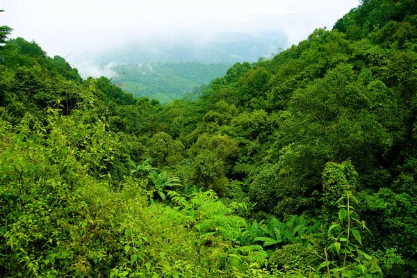 Tajlandia | Górzyste rejony północy to raj dla miłośników natury