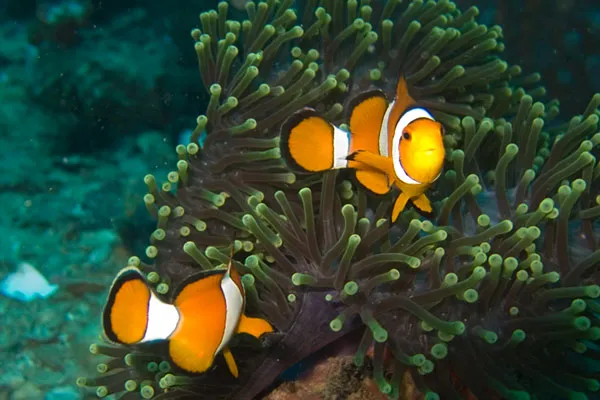 Tajlandia | Niektóre parki skrywają swe prawdziwe piekną pod taflą wody