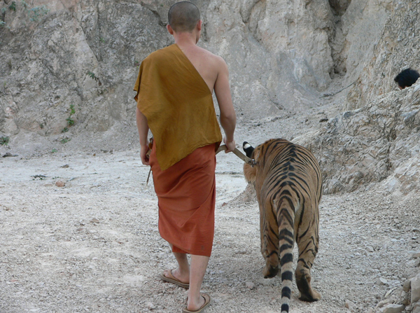 Tygrysia Świątynia