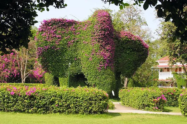 Tajlandia | Zjawiskowy słoń w ogrodzie hotelu Novotel w Hua Hin